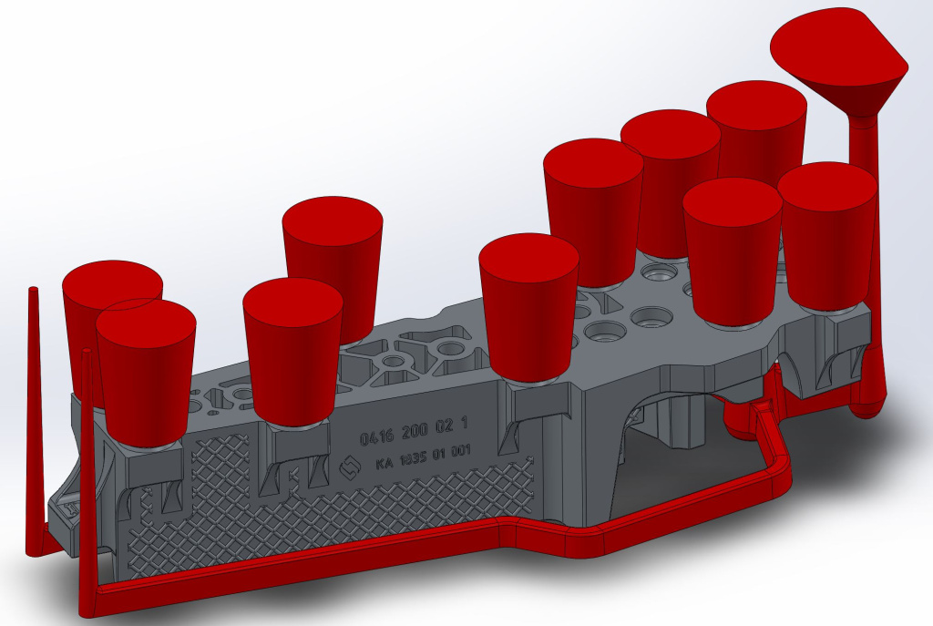 Кокиля_1 куст.JPG